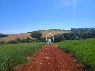 Fazenda / Sítio / Chácara à venda, 387200m² no Cruzeiro do Norte, Uraí