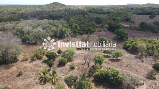 Fazenda / Sítio / Chácara à venda, 600m² no Centro, Lagoa da Confusão