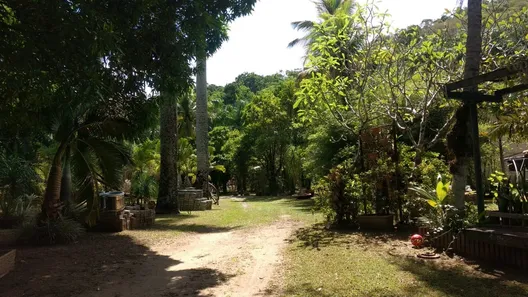 Fazenda / Sítio / Chácara com 3 Quartos à venda, 150m² no Barreira (Bacaxá), Saquarema