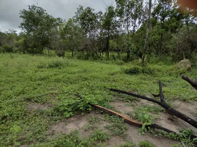 Terreno / Lote / Condomínio à venda, 20000m² no , Fortuna de Minas