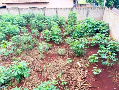 Terreno / Lote / Condomínio à venda, 240m² no Primeiro de Maio, Primeiro de Maio