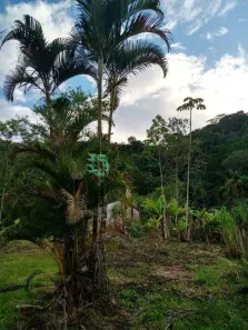 Fazenda / Sítio / Chácara com 1 Quarto à venda, 60m² no Balneario Regina Maria, Mongaguá