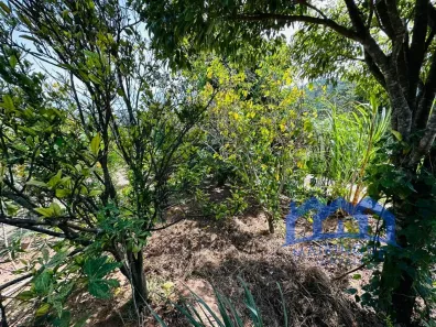 Fazenda / Sítio / Chácara com 3 Quartos à venda, 1000m² no , Mairinque