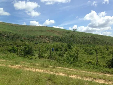 Fazenda / Sítio / Chácara com 3 Quartos à venda, 660000m² no , Pombos