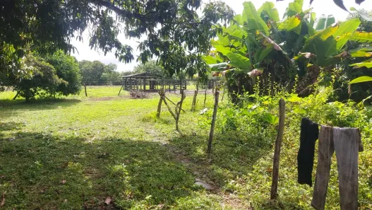 Fazenda / Sítio / Chácara à venda, 1m² no , Paranã