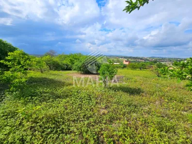 Fazenda / Sítio / Chácara com 3 Quartos à venda, 416m² no Ebenezer, Gravatá
