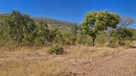 Fazenda / Sítio / Chácara à venda, 10933542m² no , Paranã