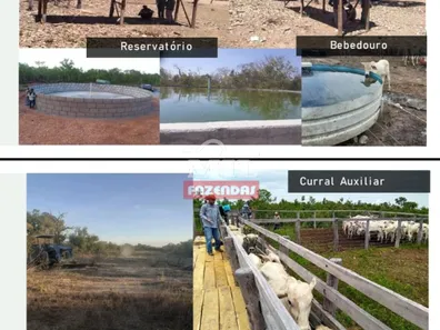 Fazenda / Sítio / Chácara à venda, 500m² no , Paranã