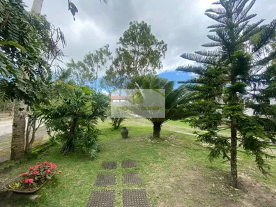 Fazenda / Sítio / Chácara com 3 Quartos à venda, 250m² no , Sairé