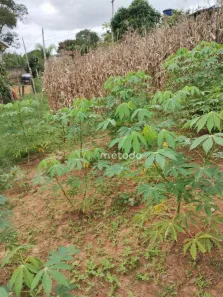 Terreno / Lote / Condomínio à venda, 953m² no Santa Teresa, Santa Branca
