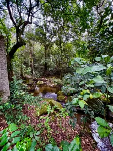 Fazenda / Sítio / Chácara com 3 Quartos à venda, 300m² no Jacarepaguá, Rio de Janeiro