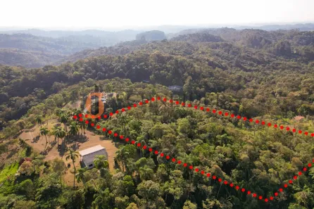 Fazenda / Sítio / Chácara à venda, 10800m² no Quatro Barras, Quatro Barras