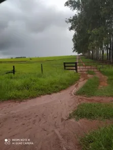 Fazenda / Sítio / Chácara à venda, 16100000m² no , Tacuru