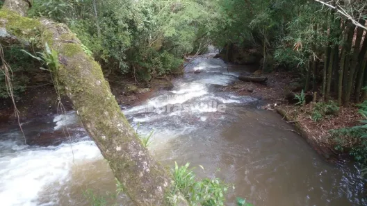 Fazenda / Sítio / Chácara à venda, 4000m² no , Catanduvas