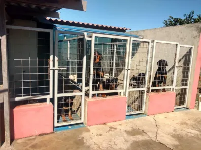 Fazenda / Sítio / Chácara com 5 Quartos à venda, 3000m² no Carafá, Votorantim
