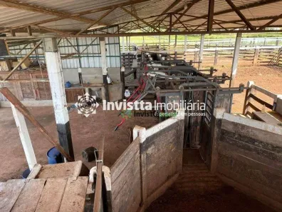 Fazenda / Sítio / Chácara à venda, 1820m² no Centro, Divinópolis do Tocantins