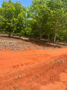 Fazenda / Sítio / Chácara à venda, 136m² no Setor Central, Cristalândia