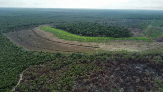 Fazenda / Sítio / Chácara com 3 Quartos à venda, 160m² no , Lagoa da Confusão