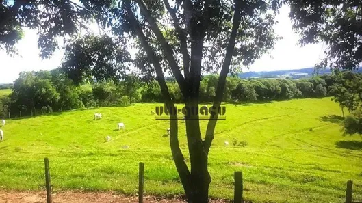 Fazenda / Sítio / Chácara à venda, 363000m² no Fundão, Alambari