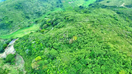 Fazenda / Sítio / Chácara à venda, 450000m² no Alpes Suiços, Gravatá