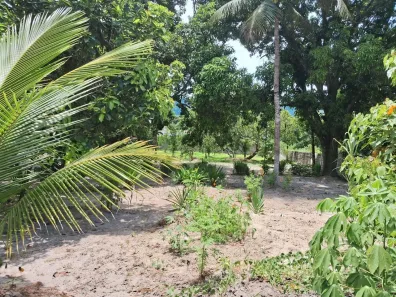 Fazenda / Sítio / Chácara com 4 Quartos à venda, 5000m² no Hararas da Peniche, Tanguá