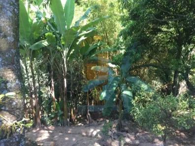 Fazenda / Sítio / Chácara com 3 Quartos à venda, 3200m² no Centro (São João Novo), São Roque