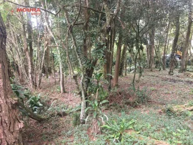 Fazenda / Sítio / Chácara com 1 Quarto à venda, 7211m² no Tatetos, São Bernardo do Campo