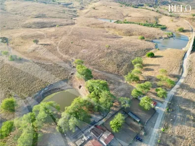 Fazenda / Sítio / Chácara com 4 Quartos à venda, 2950000m² no , Passira