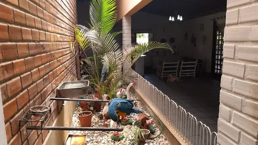 Fazenda / Sítio / Chácara com 8 Quartos à venda, 3000m² no Gravatá Centro, Gravatá