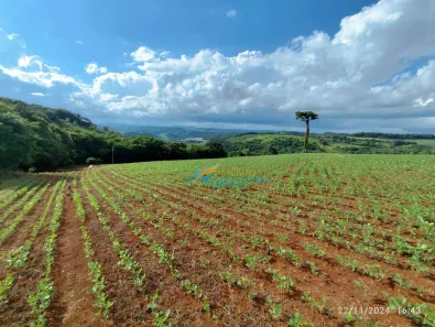 Fazenda / Sítio / Chácara à venda, 72600m² no , Catanduvas