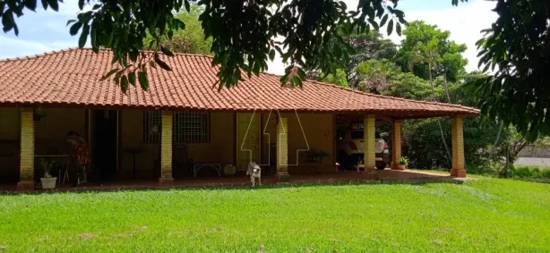 Fazenda / Sítio / Chácara com 3 Quartos para alugar, 260m² no Conjunto Habitacional Pedro Perri, Araçatuba