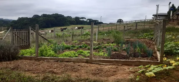 Fazenda / Sítio / Chácara com 2 Quartos à venda, 24100m² no , Contenda