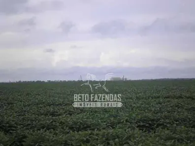 Fazenda / Sítio / Chácara à venda, 999999999m² no , Paraíso do Tocantins