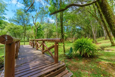 Fazenda / Sítio / Chácara com 4 Quartos à venda, 10m² no Colônia Balbino Cunha, Campo Largo