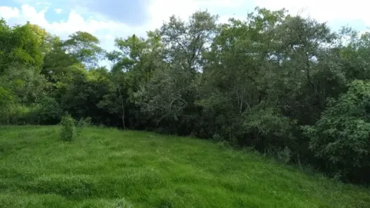 Fazenda / Sítio / Chácara com 2 Quartos à venda, 91960m² no Centro, Capivari
