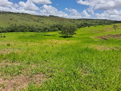 Fazenda / Sítio / Chácara com 3 Quartos à venda, 200000m² no Área Rural de Formosa, Formosa