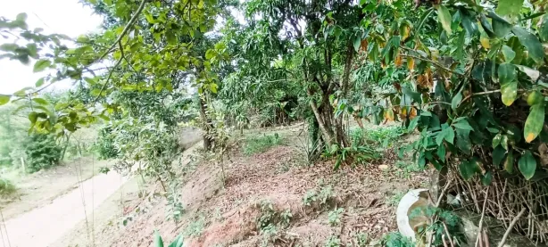 Fazenda / Sítio / Chácara com 2 Quartos à venda, 86m² no Veraneio Irajá, Jacareí