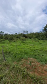 Fazenda / Sítio / Chácara à venda, 5808000m² no , Padre Bernardo