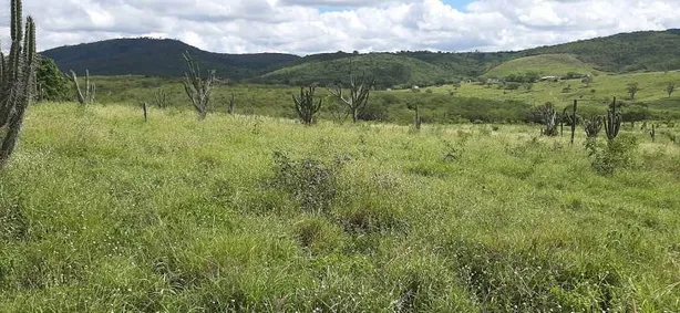 Fazenda / Sítio / Chácara com 3 Quartos à venda, 100m² no Alpes Suiços, Gravatá