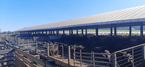 com 1 Quarto à venda, 65m² no Guaraniaçu, Guaraniaçu