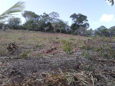 Terreno / Lote / Condomínio à venda, 40000m² no Barra do Jacuípe (Monte Gordo), Camaçari