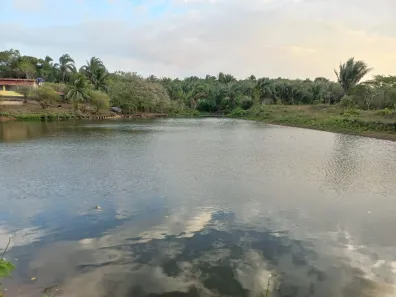 Terreno / Lote Comercial à venda, 3330000m² no , Bacabeira
