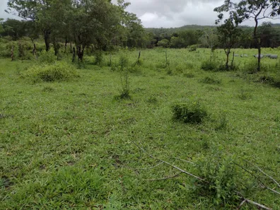 Terreno / Lote / Condomínio à venda, 20000m² no , Fortuna de Minas