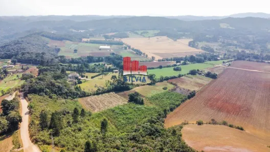 Fazenda / Sítio / Chácara com 9 Quartos à venda, 650m² no Botiatuba, Almirante Tamandaré