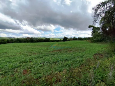 Fazenda / Sítio / Chácara à venda, 96800m² no , Guaraniaçu