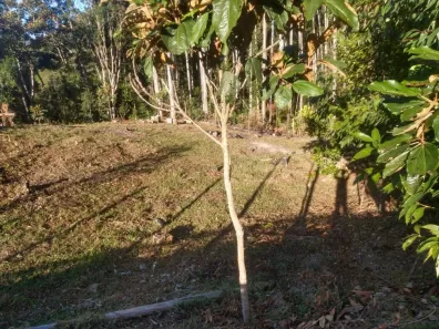 Terreno / Lote / Condomínio à venda, 1700m² no Rio Miguel, Águas Mornas