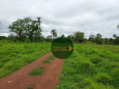Fazenda / Sítio / Chácara com 3 Quartos à venda, 25748800m² no Parque Residencial Nova Fronteira, Gurupi