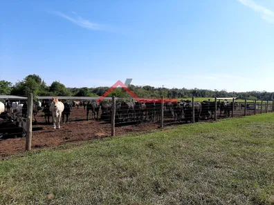 Fazenda / Sítio / Chácara à venda, 1415700m² no , Laranjal Paulista