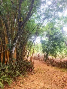 Fazenda / Sítio / Chácara à venda, 24975m² no Parque Xerém, Duque de Caxias