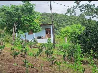 Fazenda / Sítio / Chácara com 3 Quartos à venda, 100000m² no Área Rural de Vitória do Santo Antão, Vitória de Santo Antão